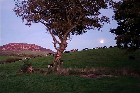 Moon rising in the afterglow of sunset