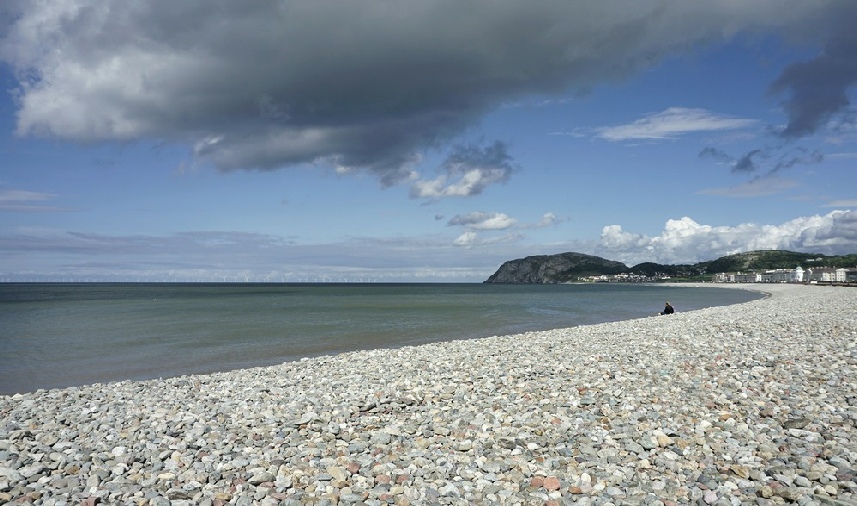 Pebble beach